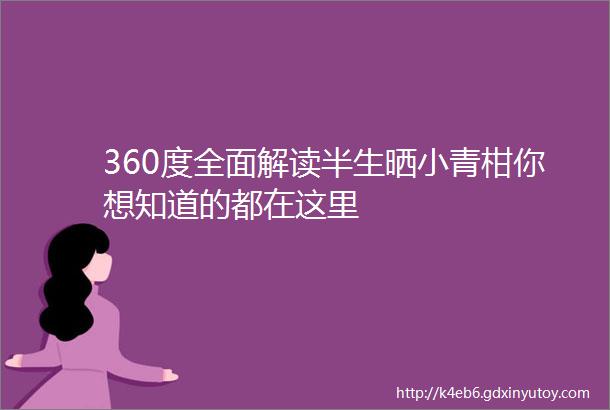 360度全面解读半生晒小青柑你想知道的都在这里